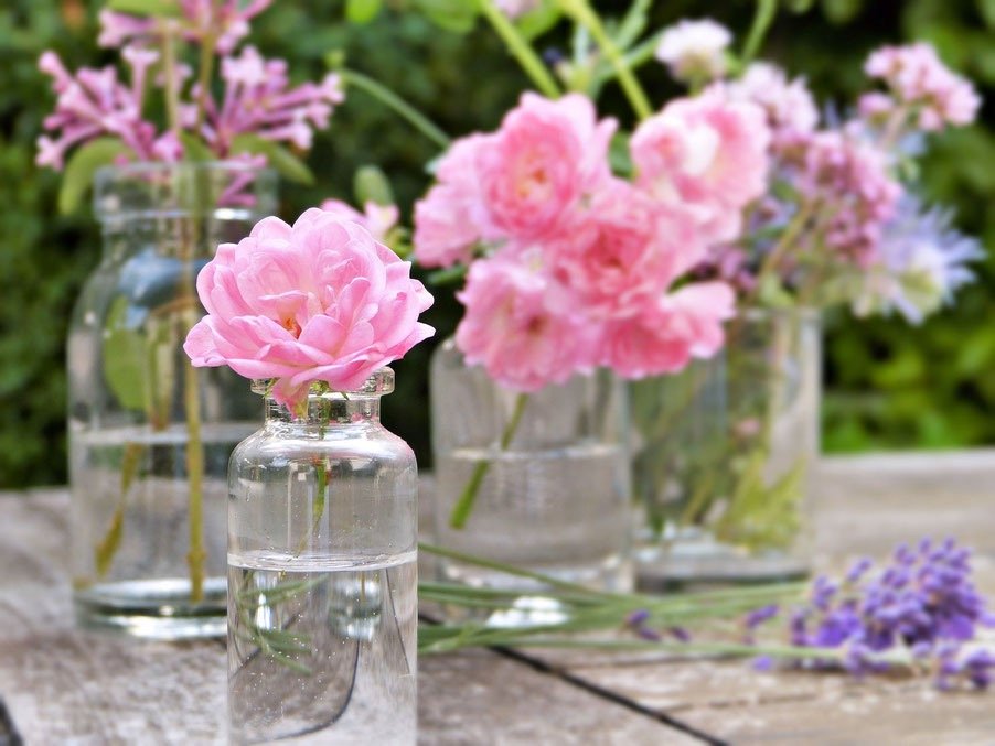 blumen-vasen blumen-vasen
